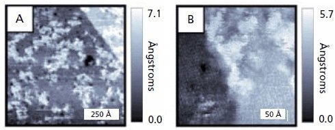 Scanning tunneling microscopy image of a separated 1-dodecanethiolate (C12) and 1-adamantanethiolate (1-AD) SAM on a Au{111} substrate.