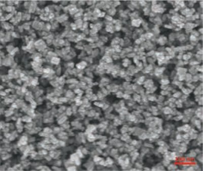 paste-based TiO2膜のSEM画像