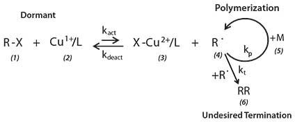 The ATRP equilibrium equation The ATRP equilibrium equation