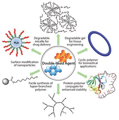 biomaterials-synthesized 双頭型重合剤を用いて合成したバイオマテリアルの例