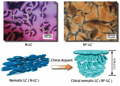 Chiral nematic LC 誘起キラルネマチック液晶の構造と偏光顕微鏡画像