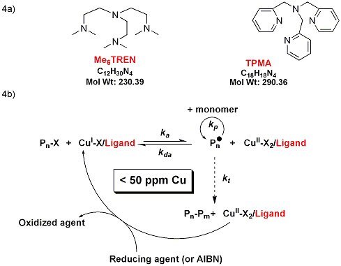 Ligands for highly active ATRP catalysts Ligands for highly active ATRP catalysts