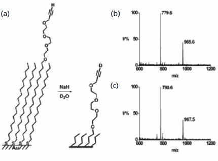 Chemistry at Surfaces with Self-Assembled Monolayers and SAMDI-ToF Mass Spectrometry SAMDI MSを使った末端アルキンの重水素交換の確認