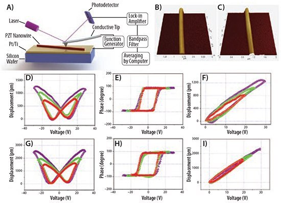 schematics-of-piezoelectric Schematics of piezoelectric force microscopy (PFM) testing setup
