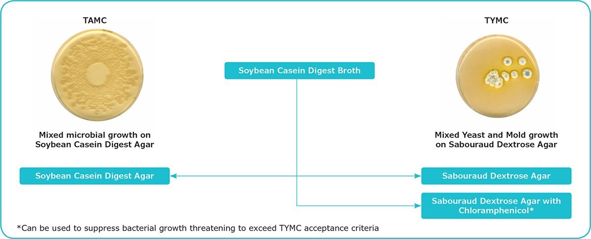 Diagram: Microbial Enumeration Tests Diagram: Microbial Enumeration Tests