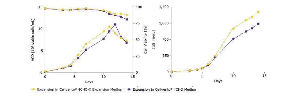 38406_Preparing_CHO_Cells_Whitepaper_Images_620x320 Bioreactor confirmation of compatibility with Cellvento® 4CHO