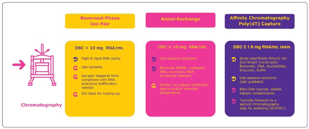 Comparison of reversed-phase ion-pair, anion exchange and affinity chromatography for mRNA purification. DBC: dynamic binding capacity.<sup>3,4</sup> Comparison of reversed-phase ion-pair, anion exchange and affinity chromatography for mRNA purification. DBC: dynamic binding capacity