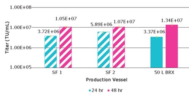 Lentivirus titer from VirusExpress® 293T cells produced via transient transfection, run 3 Lentivirus titer from VirusExpress® 293T cells produced via transient transfection