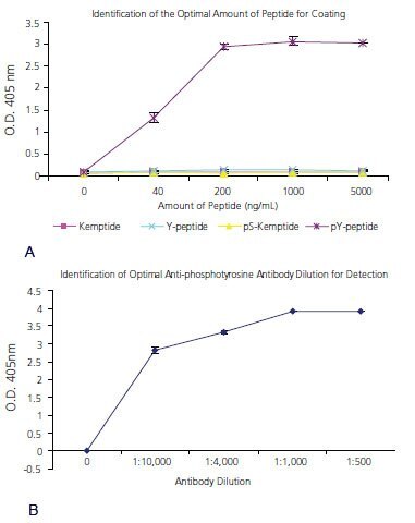 Optimization of ELISA-based assay platform Optimization of ELISA-based assay platform