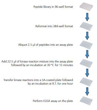 Overview of Screening Procedure Overview of Screening Procedure