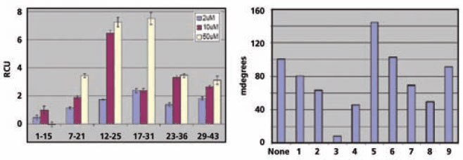 Binding Analysis of Antibodies to Immobilized Peptides Binding of phosphotyrosine-specific (left) and phosphothreonine-specific (right) antibodies to peptides immobilized on the affinity chip. Binding Analysis of Antibodies to Immobilized Peptides Binding of phosphotyrosine-specific (left) and phosphothreonine-specific (right) antibodies to peptides immobilized on the affinity chip.