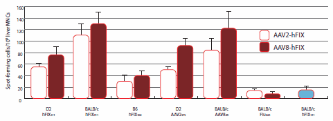 Density of IFN-γ Spot-forming Cells in Response to Different CTL Epitope Peptides Density of IFN-γ Spot-forming Cells in Response to Different CTL Epitope Peptides