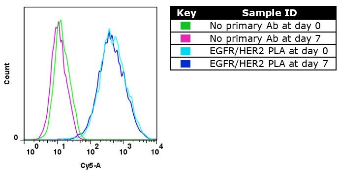 Duolink PLA signal The Duolink PLA signal is stable. The same cells stored for a week give the same result as those immediately analyzed.