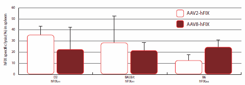 In Vivo CTL Assay for hFIX Specific Lysis in Mice In Vivo CTL Assay for hFIX Specific Lysis in Mice