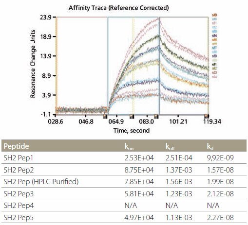 Kinetic Analysis and Data Example of kinetic analysis using SH2-binding peptides. Corresponding data are shown in the table above. Kinetic Analysis and Data Example of kinetic analysis using SH2-binding peptides. Corresponding data are shown in the table above.