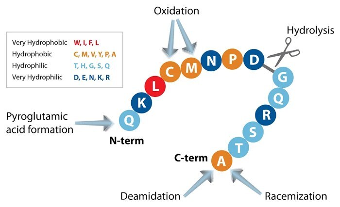 Lot Variability and Impurities in PEPscreen<sup>®</sup> peptide libraries Lot Variability and Impurities in PEPscreen<sup>®</sup> peptide libraries