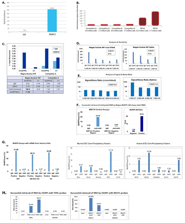 RIP RNAs analyses by qRT-PCR RIP RNAs analyses by qRT-PCR
