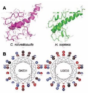 Molecular models