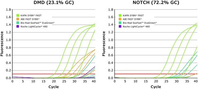 図3：KAPA SYBR® FASTキット：ヒトゲノムDNAを用いたDMDおよびNOTCH標的遺伝子増幅に関し、KAPA SYBR® FASTの性能および定量は競合キット製品より優れています