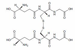 Structure of oxidized glutathione Structure of oxidized glutathione