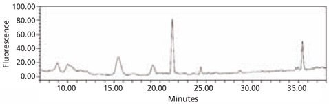 HPLC profile of the 2‑AA labeled N-linked glycan library obtained from bovine fetuin. The glycans were cleaved from the glycoprotein using the Enzymatic Protein Deglycosylation Kit (Cat. No.<a href="/product/sigma/EDEGLY"> EDEGLY</a>). HPLC profile of the 2‑AA labeled N-linked glycan library
