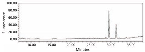 HPLC profile of the 2‑AB labeled N-linked glycan library obtained from bovine fetuin. The glycans were cleaved from the glycoprotein using the Enzymatic Protein Deglycosylation Kit (Cat. No. <a href="/product/sigma/EDEGLY"> EDEGLY</a>). HPLC profile of the 2‑AB labeled N-linked glycan library