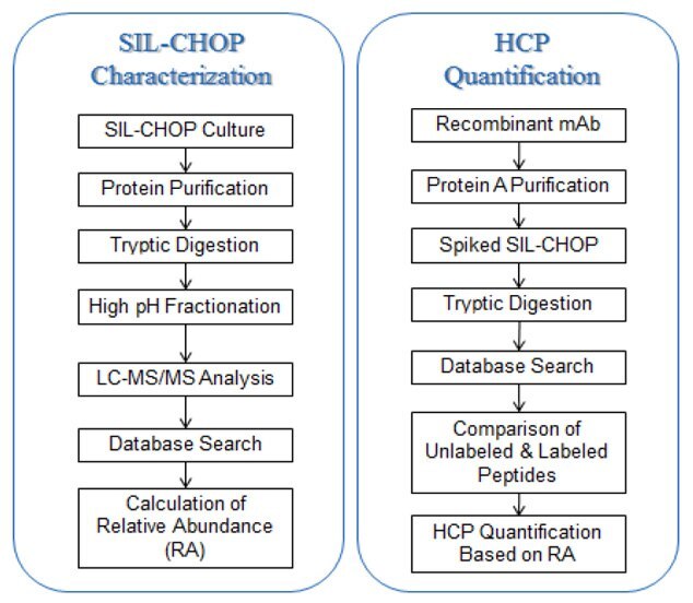 HCP Characterization and Quantification Workflow HCP Characterization and Quantification Workflow