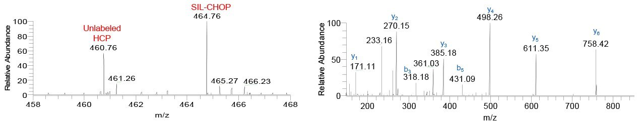 MS spectrum showing unlabeled GLFIIDDK (m/z 460.76) and SIL-GLFIIDDK (m/z 464.76) derived from Peroxiredoxin-1, PRDX1, in the AEX-purified sample spiked with SIL-CHOP, and corresponding MS/MS spectrum. This peptide was not identified by database search, but was manually identified by presence of the heavy/light peak pair and MS/MS match to SIL-CHOP spectral library. MS spectrum showing unlabeled GLFIIDDK (m/z 460.76) and SIL-GLFIIDDK (m/z 464.76) derived from Peroxiredoxin-1, PRDX1, in the AEX-purified sample spiked with SIL-CHOP, and corresponding MS/MS spectrum.brary.