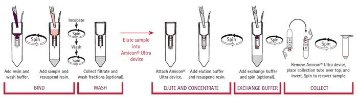 The Amicon® Pro Purification System Workflow