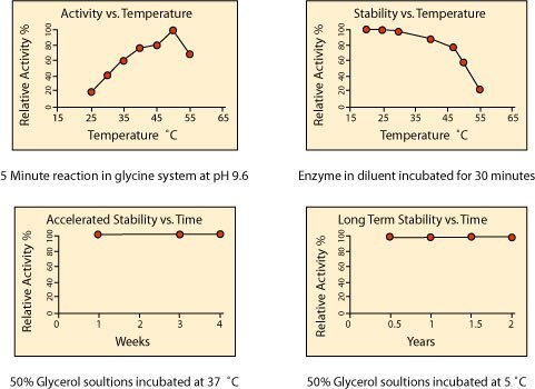 Temperature Effects on the Activity and Stability of Alkaline Phosphatase