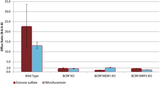 Efflux of BCRP Substrates in wild-type (WT) and BCRP knockout (KO) cell lines Efflux of BCRP Substrates in wild-type (WT) and BCRP knockout (KO) cell lines