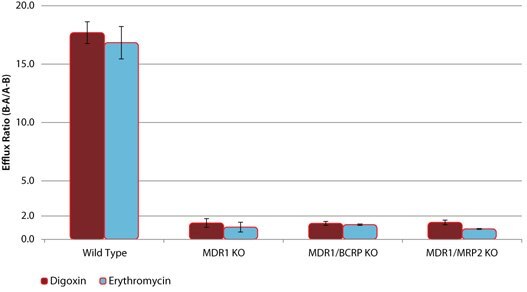 Efflux of P-gp Substrates in wild-type (WT) and MDR1 knockout (KO) cell lines Efflux of P-gp Substrates in wild-type (WT) and MDR1 knockout (KO) cell lines