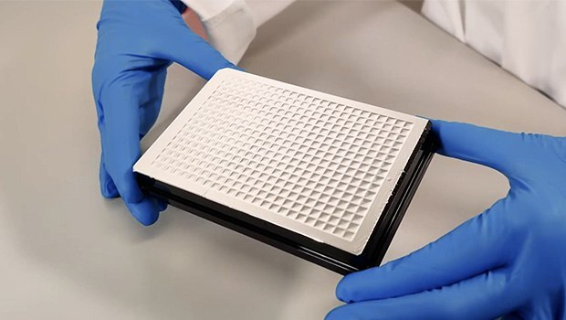 A complete seal of a 384-well read plate for the SMCxPRO® instrument with a concave appearance on all wells and clearly visible corners.