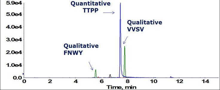 Total ion chromatogram of three selected signature peptides Total ion chromatogram of three selected signature peptides, one quantitative (TTPP) and two qualitative (VVSV and FNWY), used for universal analysis of IgG1 therapeutic drug antibodies in preclinical studies
