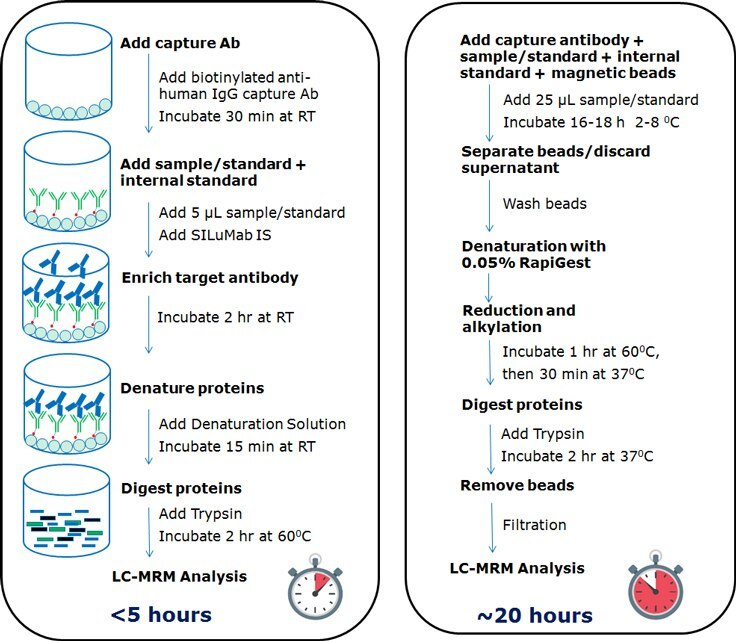Comparison workflow for quantification IgG1 antibodies. Comparison of universal plate-based and magnetic bead-based workflow for quantification IgG1 antibodies.
