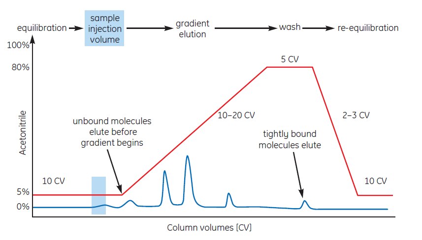 Typical RPC separation using gradient elution
