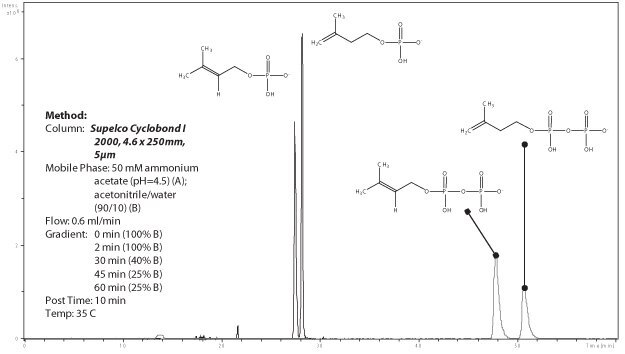 Separation of IP, DMAP, IPP and DMAPP by chiral chromatography with a cyclodextrin phase (Cyclobond I 2000). Separation of IP, DMAP, IPP and DMAPP by chiral chromatography with a cyclodextrine phase