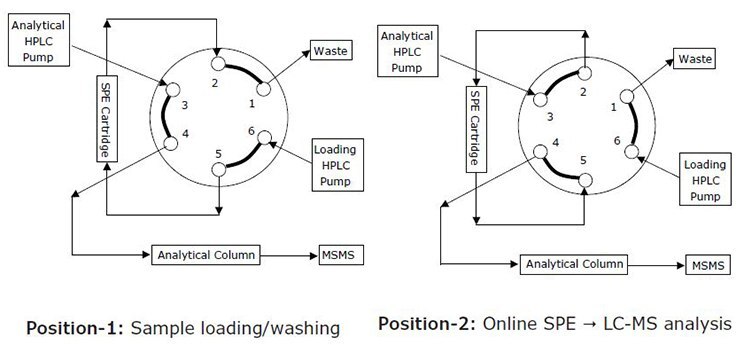 Configuration of the online system xx Configuration of the online SPE-LC-MS system.