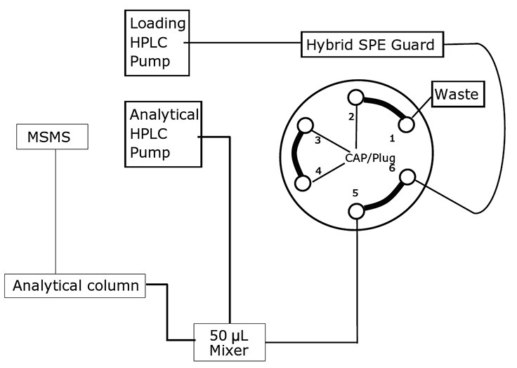 The setup of on-line HybridSPE® cartridge with LC/MS The setup of on-line HybridSPE® cartridge with LC/MS