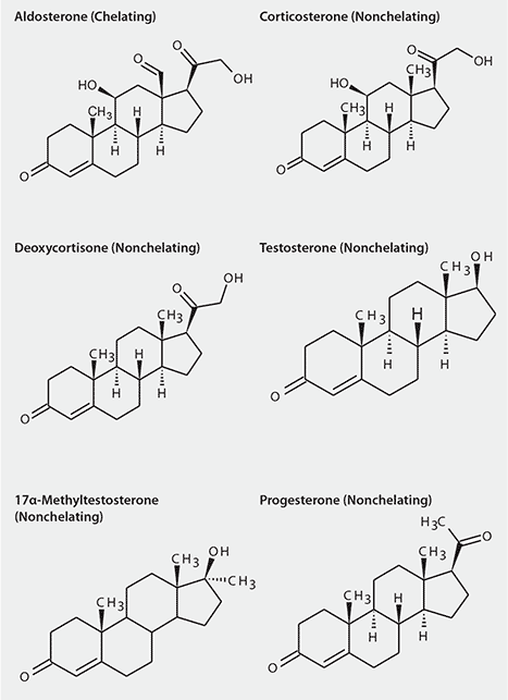 Reporter, Vol 32.2 Structures of Steroid Hormones