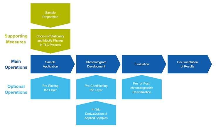The diagram below illustrates the complete thin-layer chromatography process The diagram below illustrates the complete thin-layer chromatography process