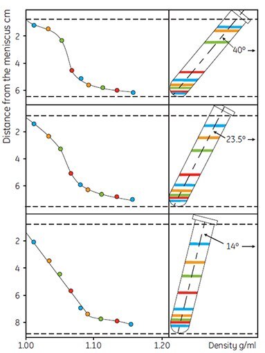The effect of rotor angle on gradient development The effect of rotor angle on gradient development