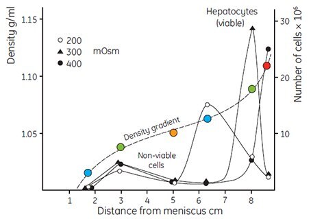 Fractionation of rat liver hepatocytes cells Fractionation of rat liver hepatocytes cells