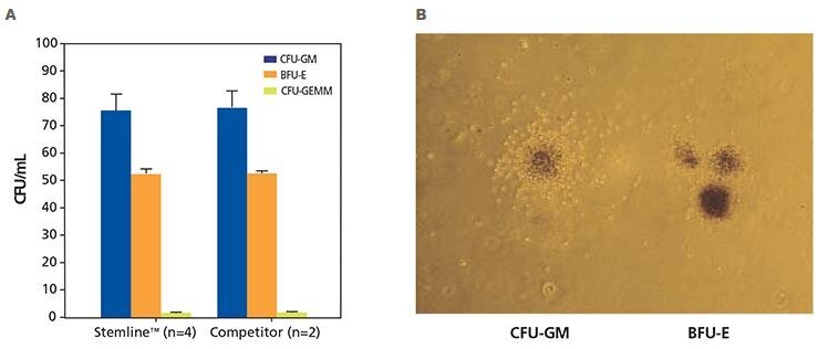 Colony formation unit (CFU) cell assay results of human CD34+ hematopoietic progenitor cells. Colony formation unit (CFU) cell assay results of human CD34+ hematopoietic progenitor cells