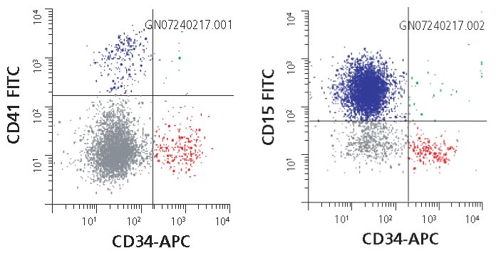Human hematopoietic stem cell markers analyzed by flow cytometry. Human hematopoietic stem cell markers analyzed by flow cytometry