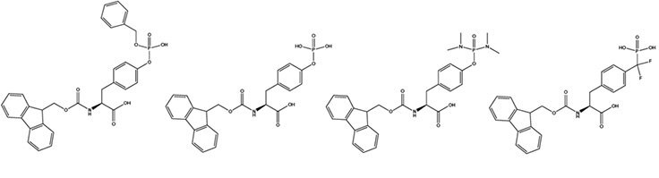 1<span style="margin-left: 25%">2</span><span style="margin-left: 25%">3</span><span style="margin-left: 25%">4</span> Step-wise synthesis of phosphotyrosine containing peptides