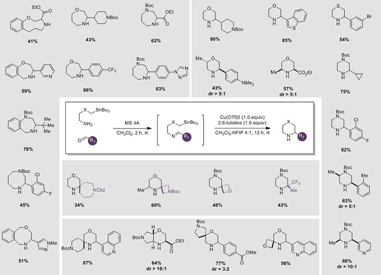 snap-reagents-2 snap Reagents