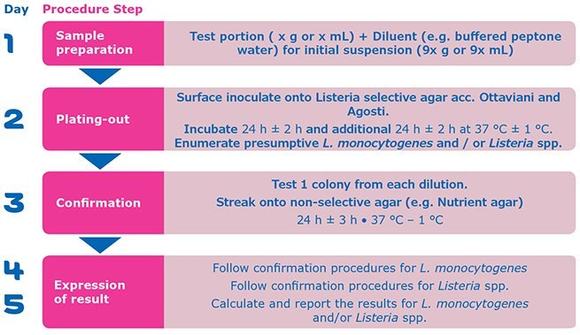Procedure steps for Listeria monocytogenes and Listeria spp. enumeration according to the revised EN ISO 11290-2:2017 standard