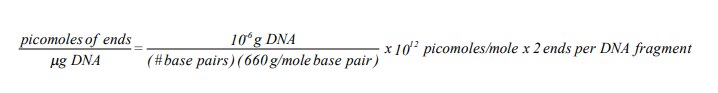  Formula to calculate the concentration of ends (in picomoles) to be ligated per mg of DNA fragments.
