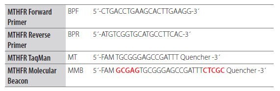 Adaptation of a Dual-Labeled Probe Assay to a Molecular Beacon